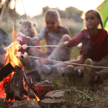 Kinder beim Lagerfeuer mit Marshmallows