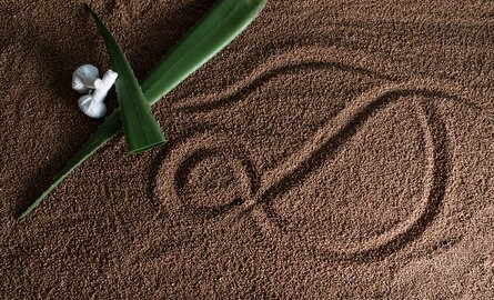 Zwei grüne Aloe Vera Blätter mit einer weißen Blüte liegen auf braunem Sand, in den das "D" für das Romantik- und Wellnesshotel Deimann geschrieben wurde 
