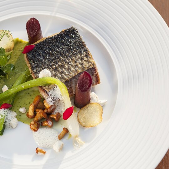 Ein liebevoll hergerichtetes Gourmetgericht, bestehend aus Fisch, Gemüse, Pilze und einer grünen Soße.