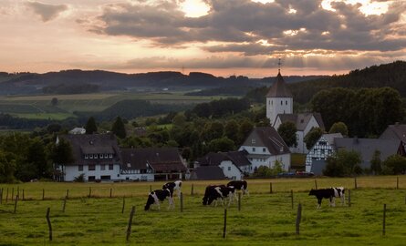 Ausblick auf eine Kuhweide mit angrenzendem Dorf im Sonnenuntergang 
