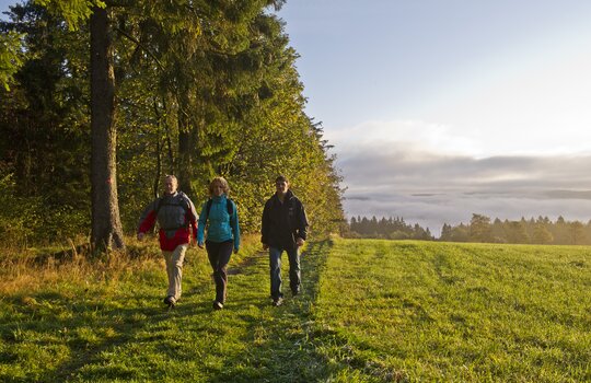 Drei Hotelgäste machen Wanderurlaub im Sauerland