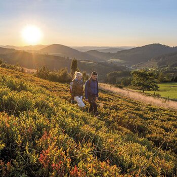 Ein Paar wandert durch die hügelige Landschaft des Sauerlandes im Herbst