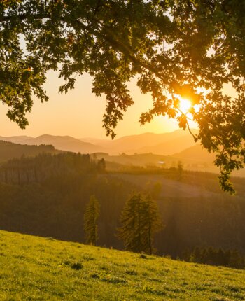 Blick ins Sauerland bei Sonnenuntergang