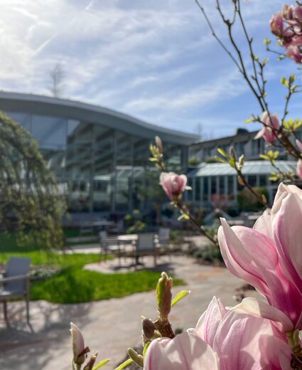 Frühlingshafter Hotelpark am Hotel Deimann