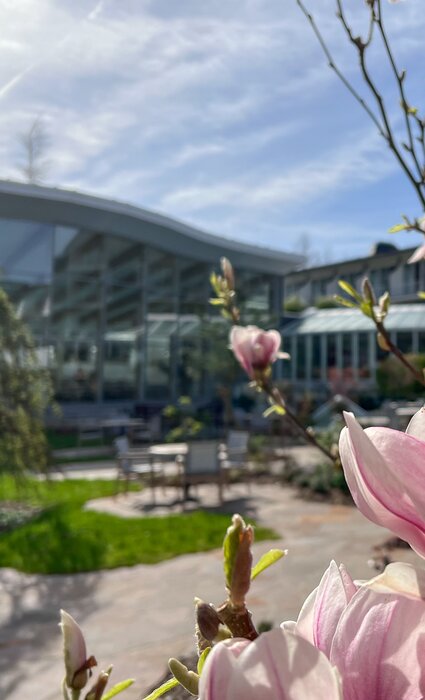 Frühlingshafter Hotelpark am Hotel Deimann