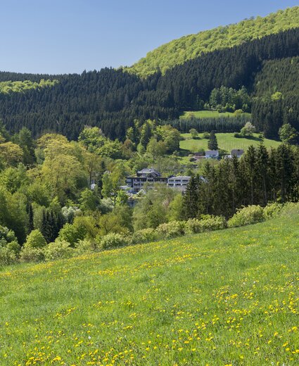 Blick von Weitem auf das Hotel Deimann