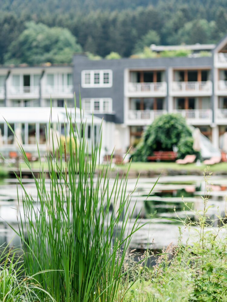 Hotelgarten mit Blick durch das Schilf