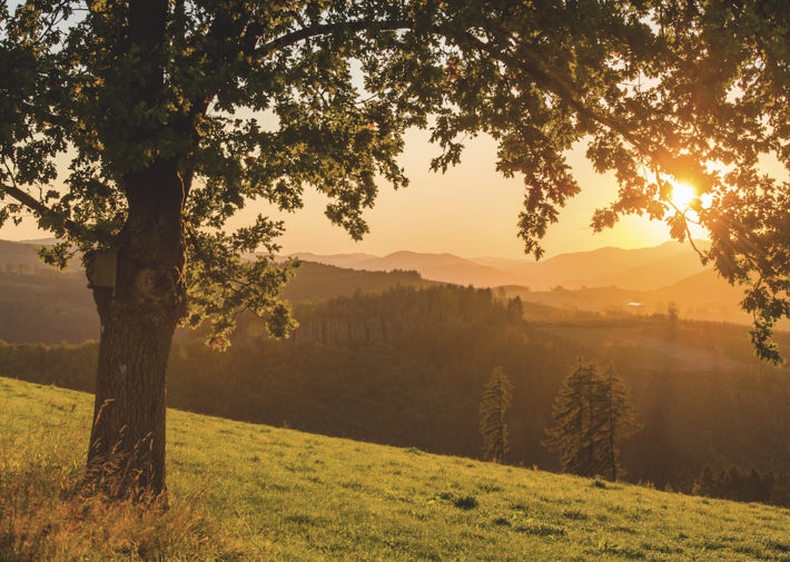 Blick vom Hügel bei Sonnenuntergang ins Sauerland