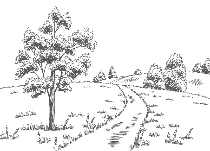 Zeichnung Waldweg