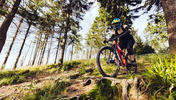 Mountainbiketour im Sauerland