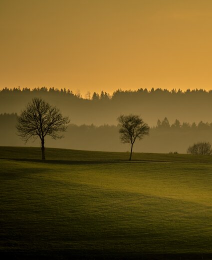 Nebelige Landschaft des Sauerlands