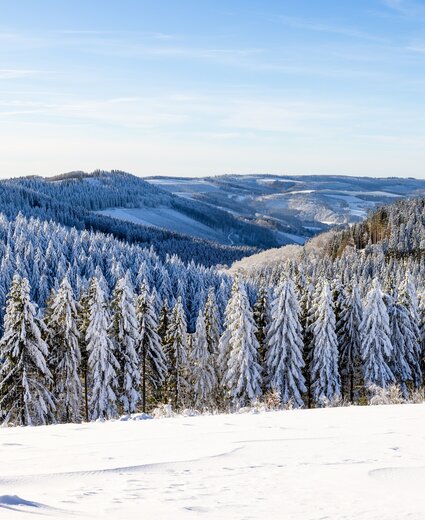 Verschneites Sauerland