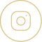 Instagram Icon im Kreis