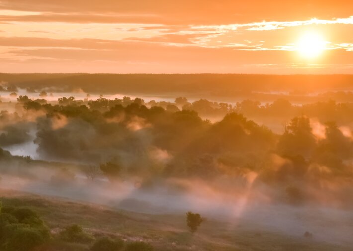 Sunrise over a misty countryside with rolling hills and scattered trees.